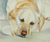 Labrador Portrait, “Boris”
